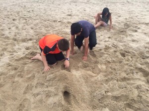 Hondarribi_JoxeMigelBarandiaran36