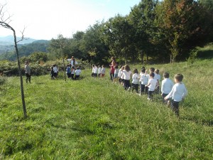 AvellanedaIkastetxea (6)