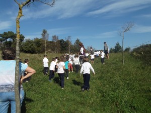 AvellanedaIkastetxea (8)