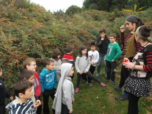 FlemingIkastetxea (10)