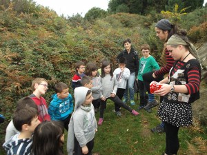 FlemingIkastetxea (11)