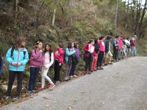 ZamudiokoEskola (15)