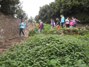 ZamudiokoEskola (16)