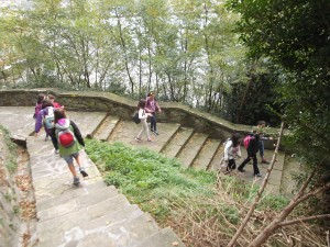 ZamudiokoEskola (17)