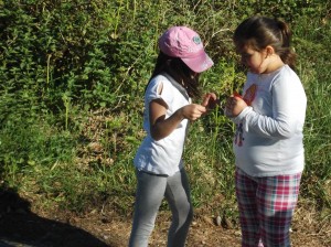 Piraten_Etxea_MuskizkoIkastola26