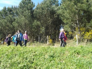 Piraten_Etxea_Tellerialde4