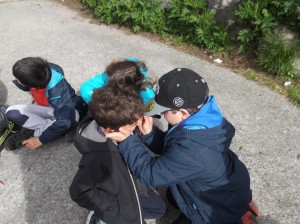 Piraten_Etxea_Elizatxo22