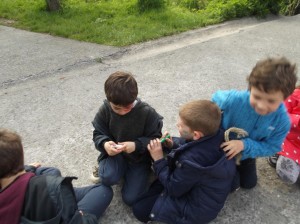 Piraten_Etxea_Elizatxo23