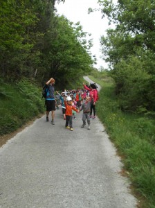 Piraten_Etxea_PelloErrota74