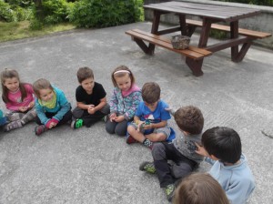 Piraten_Etxea_LardizabalHerriEskola11