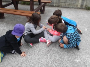 Piraten_Etxea_OreretaIkastola35