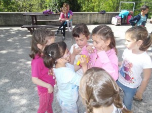 Piraten_Etxea_Avellaneda60